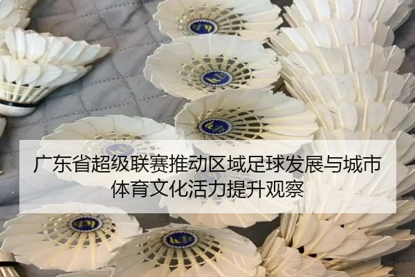 guang-dong-sheng-chao-ji-lian-sai-tui-dong-qu-yu-zu-qiu-fa-zhan-yu-cheng-shi-ti-yu-wen-hua-huo-li-ti-sheng-guan-cha-2-974.jpg